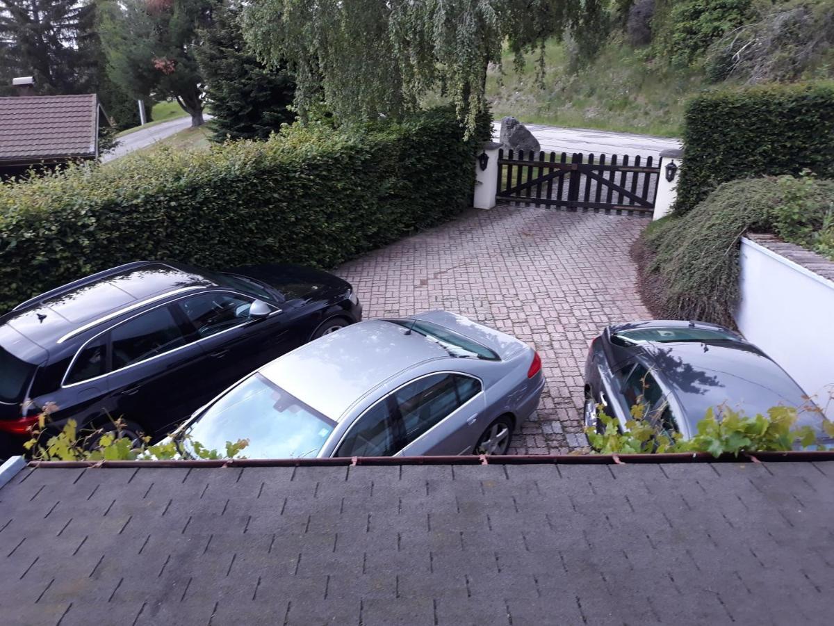 Chalet Les Chardons Gerardmer Bagian luar foto